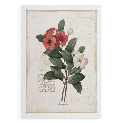 Pervenche -Canvas Print Only - NOT FRAMED
