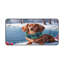 Desk Pad-1867815609
