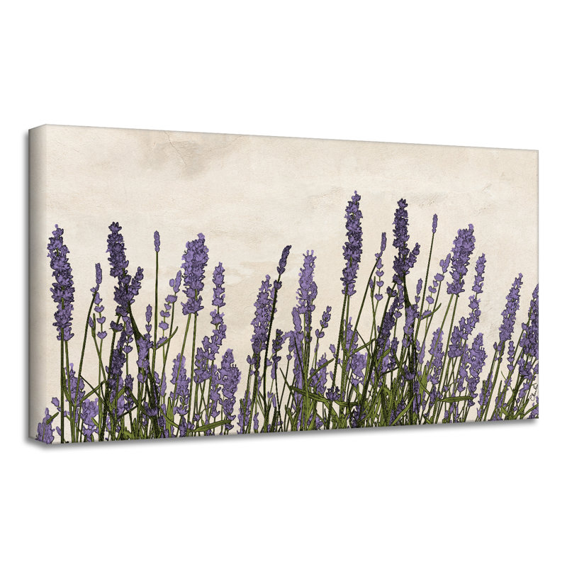 " Poetic Flora XX " by Olivia Rose, 12" H x 24" W x 1.5" D