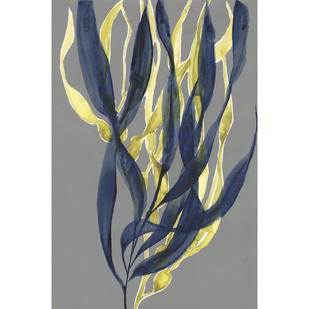 Leinwandbild Kelp Embrace I von Jennifer Goldberger