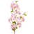 Pink selected
