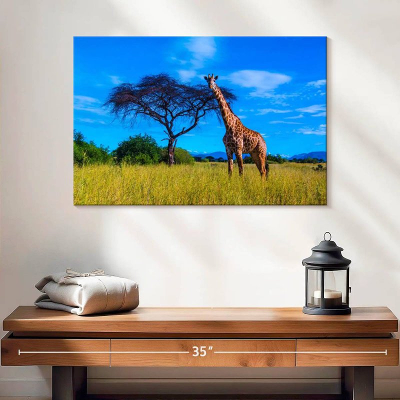Brampt Ruaha National Park Giraffe
