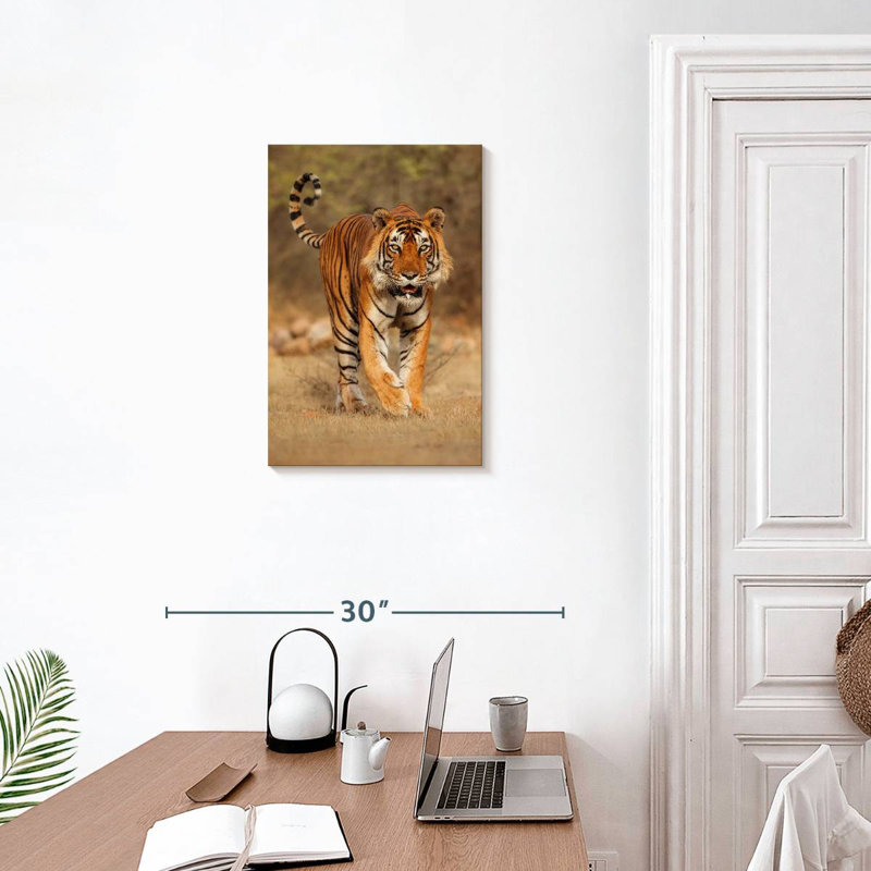 Pacing Wild Tiger, 24" H x 16" W
