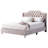 Elegant Transitional Upholstered Bed-1358391514