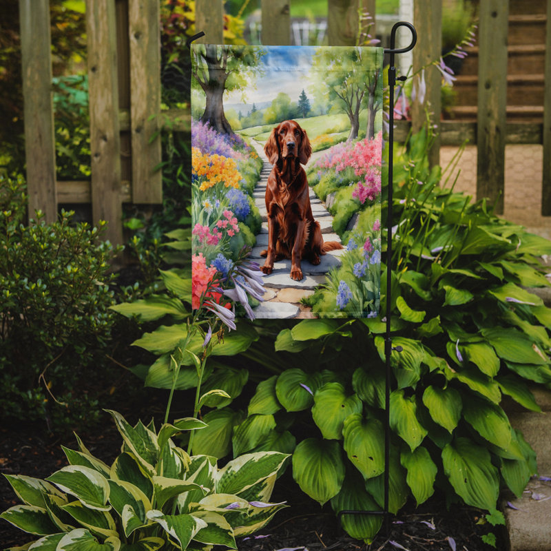 Drapeau irlandais Setter Spring Spring Garden