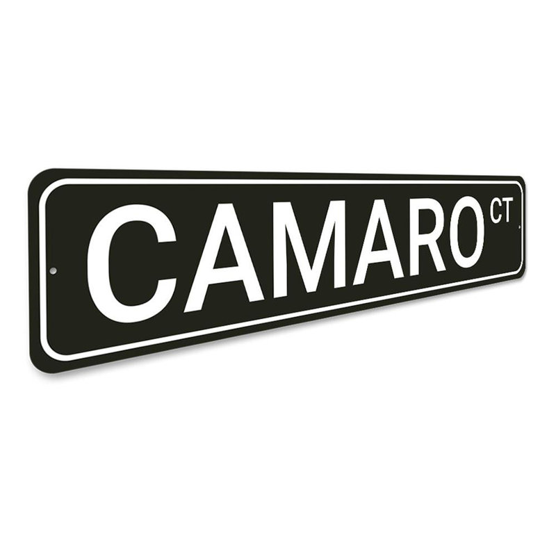 Plaque Camaro, H 4 po x l 18 po x P 0,04 po