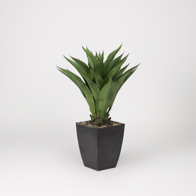 Faux sisal 34 po en pot