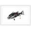 Andrew Clay - Single Picture Frame Print-20604525