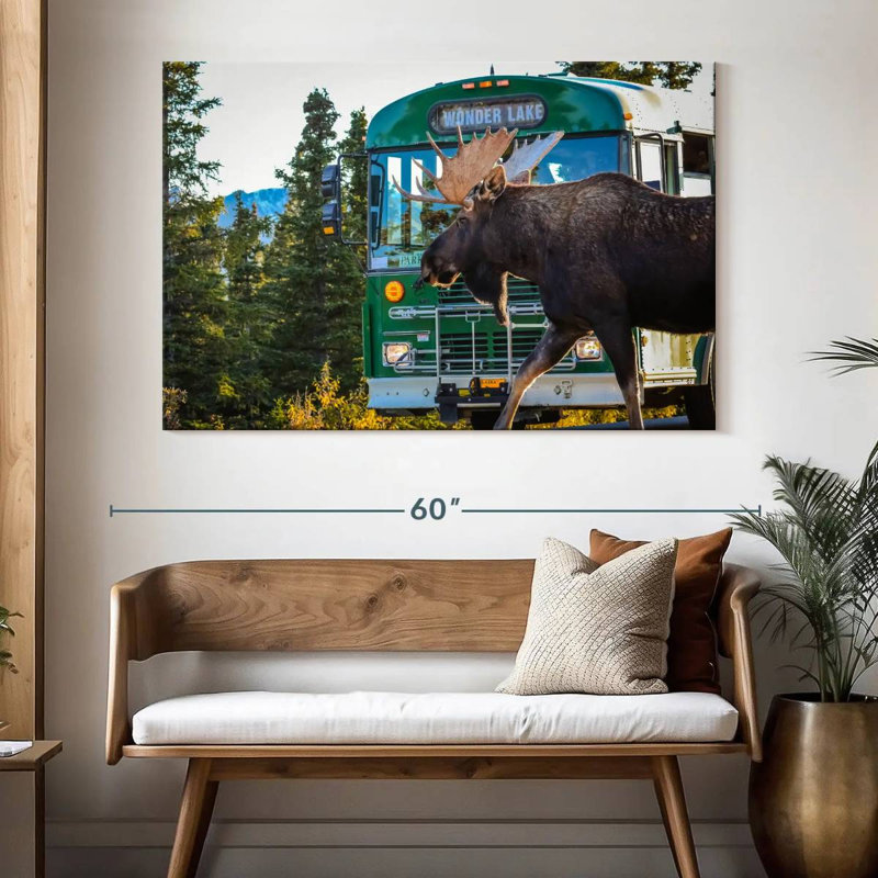 Crowle Denali Moose, 34" H x 51" W