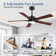 Rolanda 52" 5-inch Downrod Mount Ceiling Fan with Light Kit and Remote Control