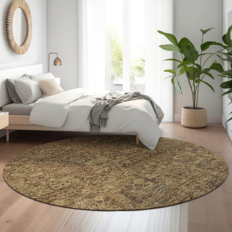 Premium Machine Washable Cerrito AMF611 Mocha Rug