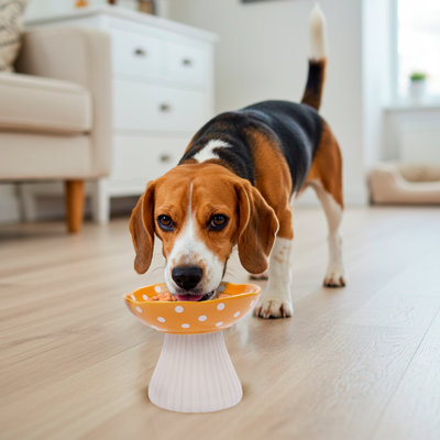 P.t. Supply Co. Mushroom Shaped Yellow Stoneware Elevated Pet Bowl, Raised Ceramic Food & Water Dish For Dogs And Cats