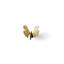 Butterfly Ginkgo 2 1/4" Length Knob