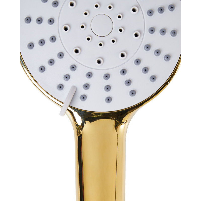 Shower Head and Hose Kit UCHIZA, Gold