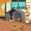 Abri pour chien-1385712755