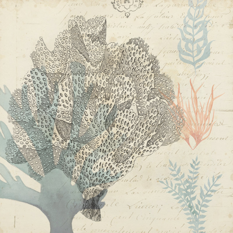 Sea Ephemera III by Grace Popp - Wrapped Canvas Print, 122cm H x 122cm W
