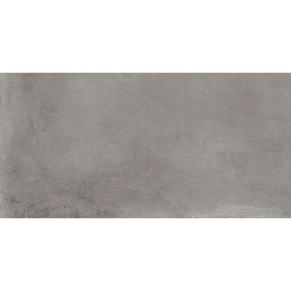Caementum Albus 24"x48"