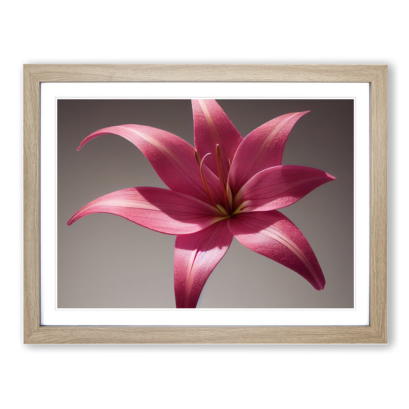 Serene Lily Flower - Framed Print, 46cm H x 64cm W x 2cm D, Oak