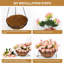 Arrangement en panier-913391688