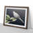 Walnut Framed selected