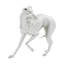 TA Originals Levriero Statue-1390297936