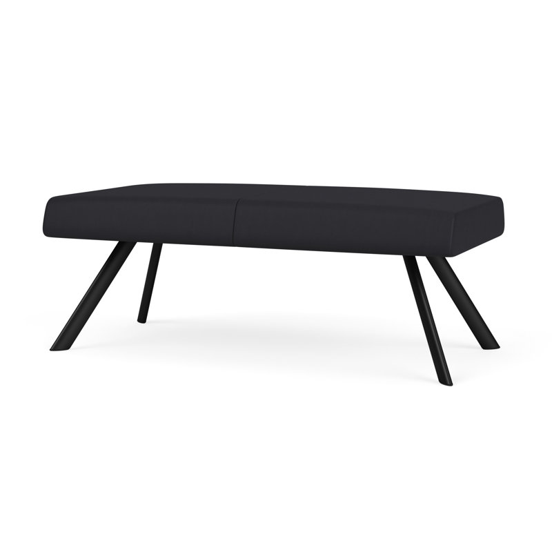 Banc de réception Willow, Noir, Noir Patriot Plus - nettoyez le vinyle avec un lin