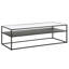 Frame Coffee Table with Storage-855396364
