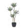 50'' Faux Succulent in Pot