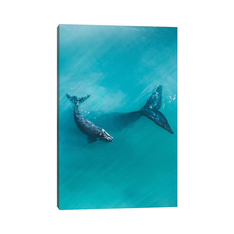 Peaceful Whales II 1 Piece Wrapped Canvas Wall Art, 30.48cm H x 20.32cm W