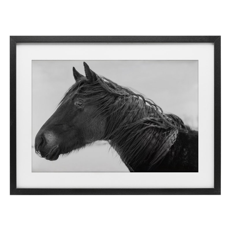 «Draisma Winter Herd Portrait», reproduction encadrée sous verre, conception par Amy Carroll, H 14 po x l 20 po
