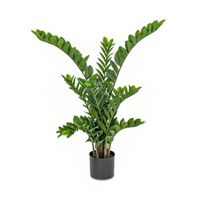 Fausse plante botanique Zamifolia