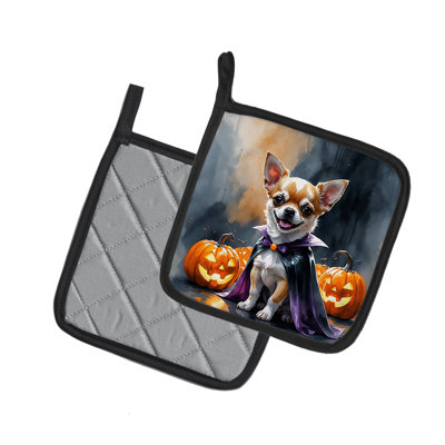 Chiot Chihuahua