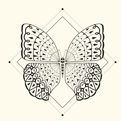 Butterfly - Wrapped Canvas Print