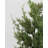 Cedar Juniper Branch 30"