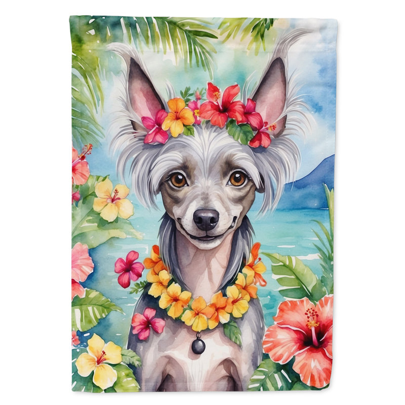 Double Sided 40'' H x 28'' W Polyester Animal House Flag
