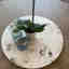 Customer photo 2 of 2