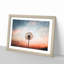 Dandelion - Picture Frame Painting Print-56708729-56708734