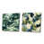 Toile tendue