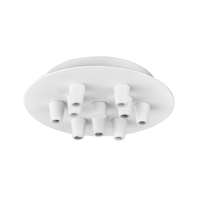 Belchertown 9 Light Multi Port Canopy