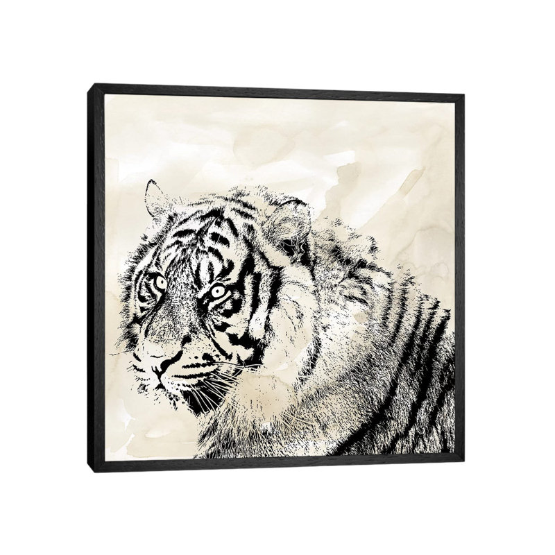 Tiger Stripes II by Carol Robinson - Print on Canvas, 45.72 cm H x 45.72 cm W, Black Framed