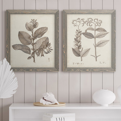 Toile encadrée antique Premium sépia Botanicals - prêt à accrocher