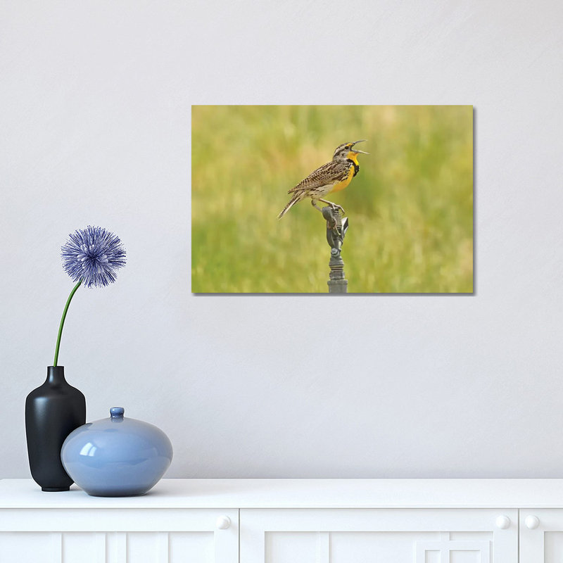 Courtship Call by Brian Wolf - Wrapped Canvas Print, 30.48cm H x 45.72cm W x 1.91cm D