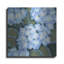 «Blue Hydrangeas I» par Tim O'Toole, art mural en métal-1459244698