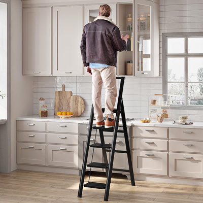 5 Step Ladder
