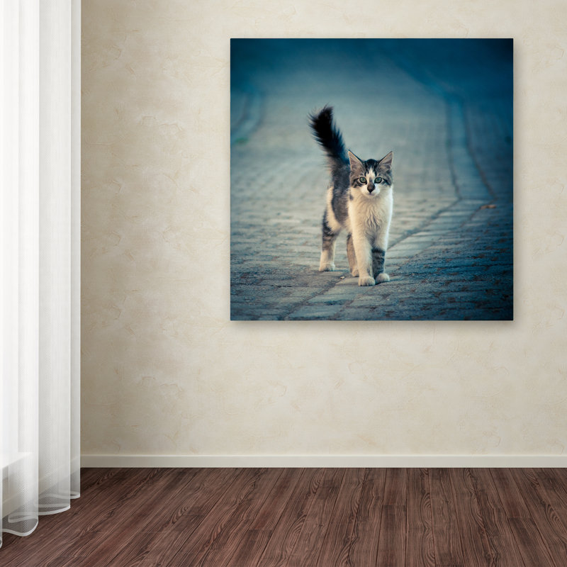 Art mural sur toile tendue - "Little One" Dejan Ilijic pour décoration de salon, de chambre à coucher ou de bureau - 14 x 14