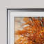 « la passion de l’automne », reproduction de photo-28042158-28042440-33925504