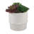 9'' Faux Succulent Plant in Ceramic Planter-301417294