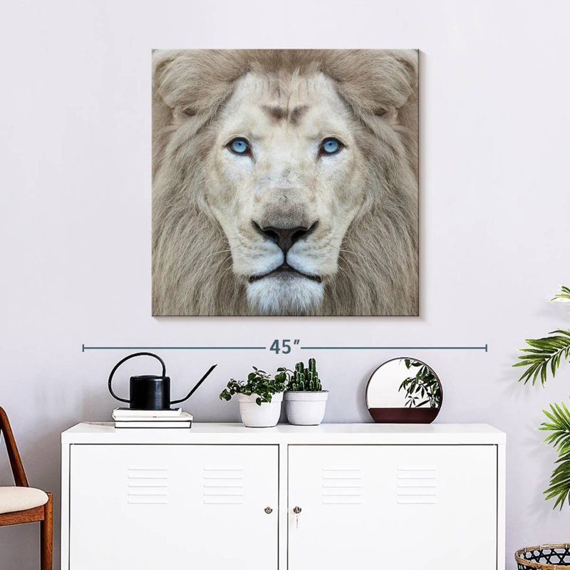 Brampt Exotic Lion