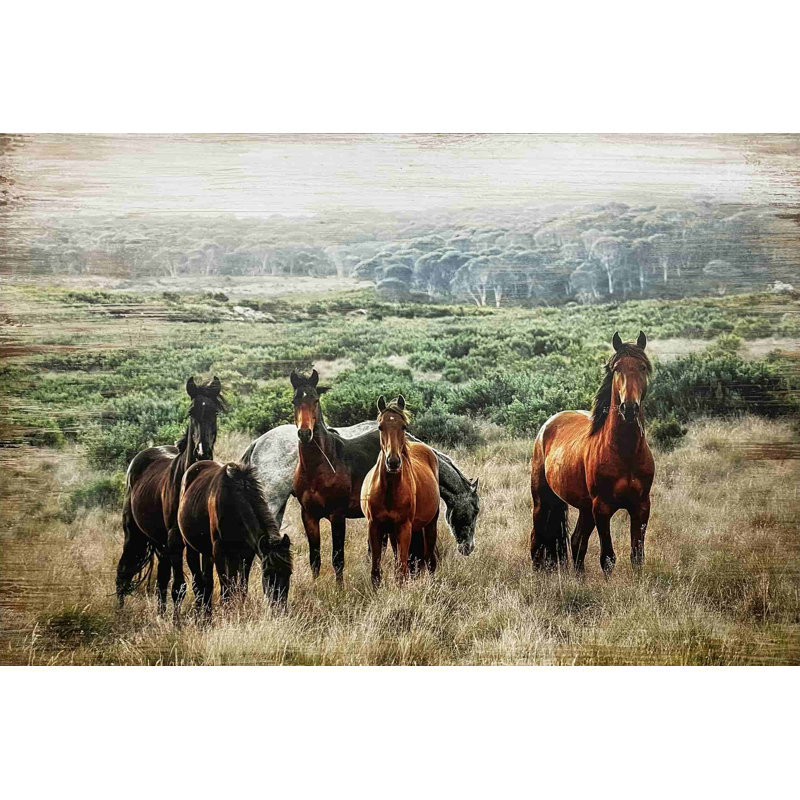" Horse In Wild ", 24" H x 36" W x 1.5" D