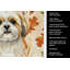 Torchon doré et blanc Shih Tzu-2083472866